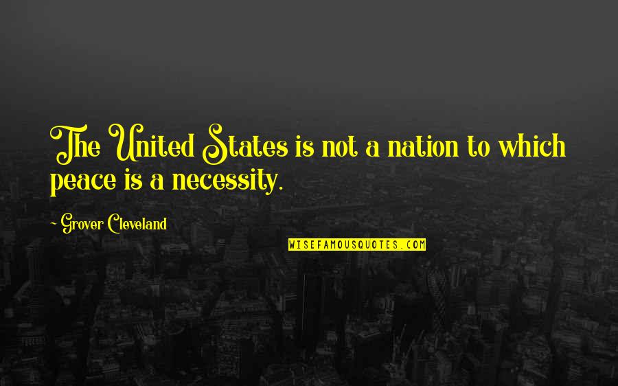 Identieties Quotes By Grover Cleveland: The United States is not a nation to