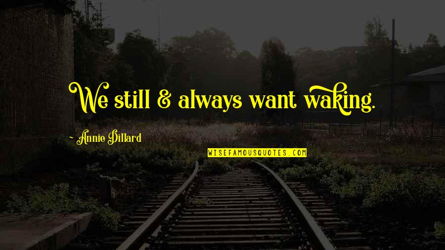 Identificamonos Quotes By Annie Dillard: We still & always want waking.