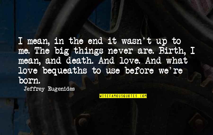 Identity And Love Quotes By Jeffrey Eugenides: I mean, in the end it wasn't up