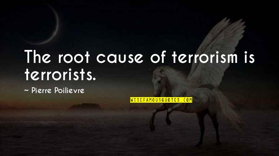 Identity In 1984 Quotes By Pierre Poilievre: The root cause of terrorism is terrorists.