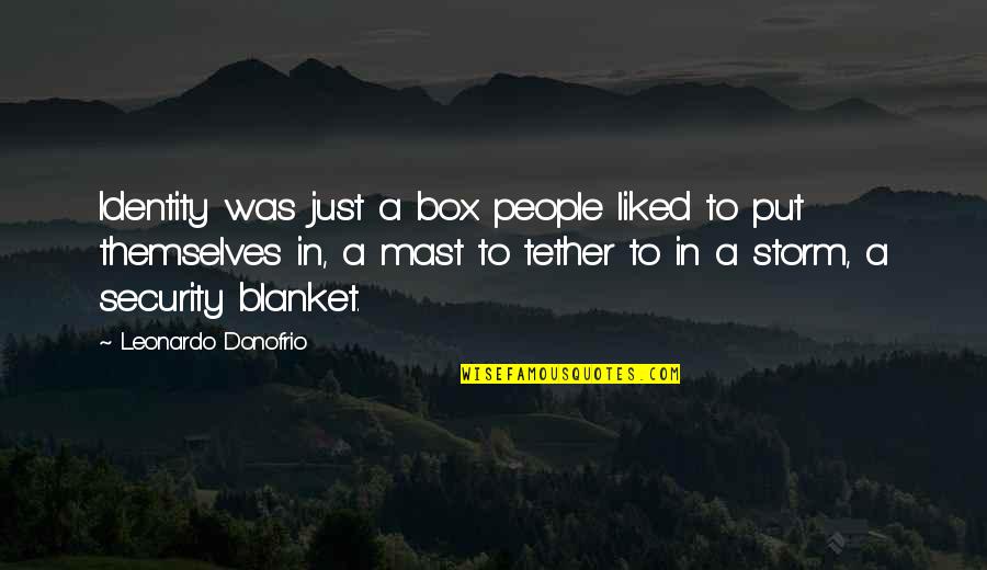 Identity In People Quotes By Leonardo Donofrio: Identity was just a box people liked to