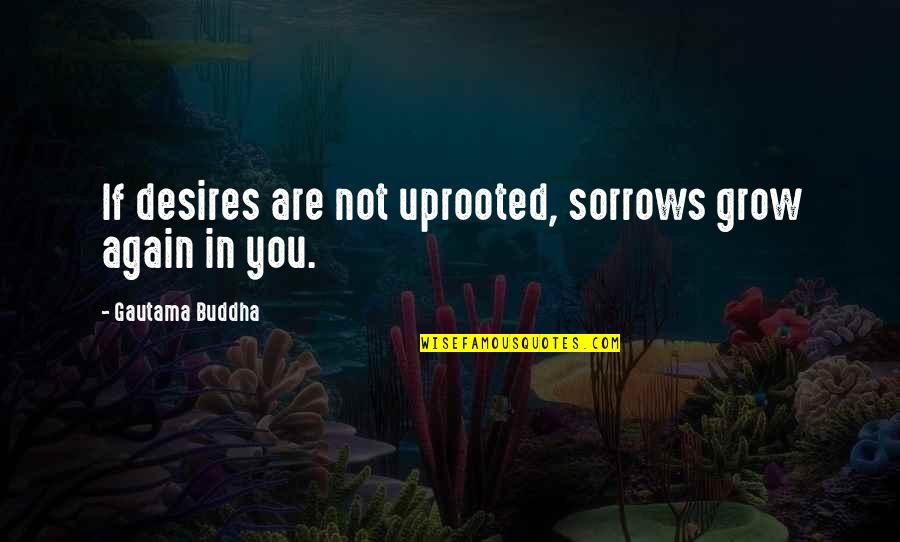 Idioticus Quotes By Gautama Buddha: If desires are not uprooted, sorrows grow again