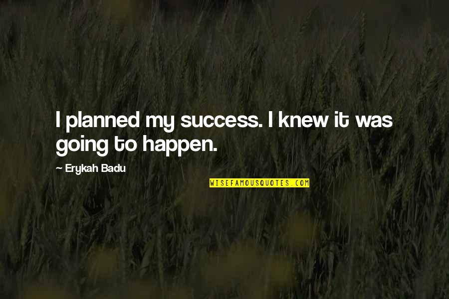 Idiots And Fools Quotes By Erykah Badu: I planned my success. I knew it was
