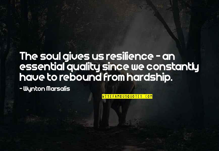 Idiots In Politics Quotes By Wynton Marsalis: The soul gives us resilience - an essential