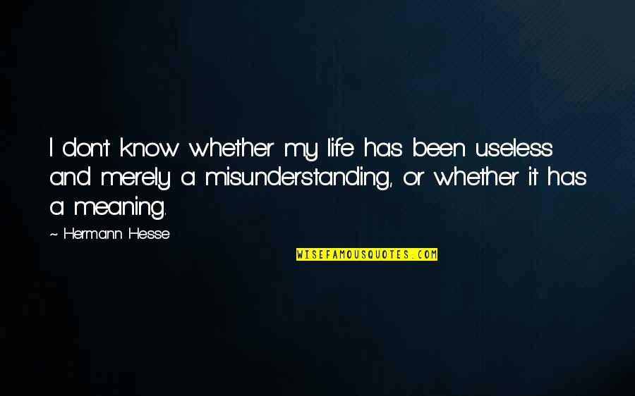 Idlenesses Quotes By Hermann Hesse: I don't know whether my life has been