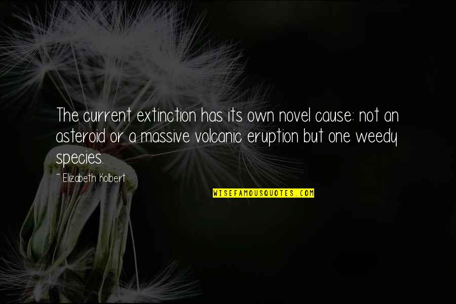 Idolater Synonym Quotes By Elizabeth Kolbert: The current extinction has its own novel cause: Idolater Synonym Quotes By Elizabeth Kolbert: The current extinction has its own novel cause: