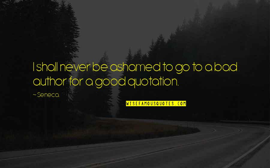 Idolater Synonym Quotes By Seneca.: I shall never be ashamed to go to