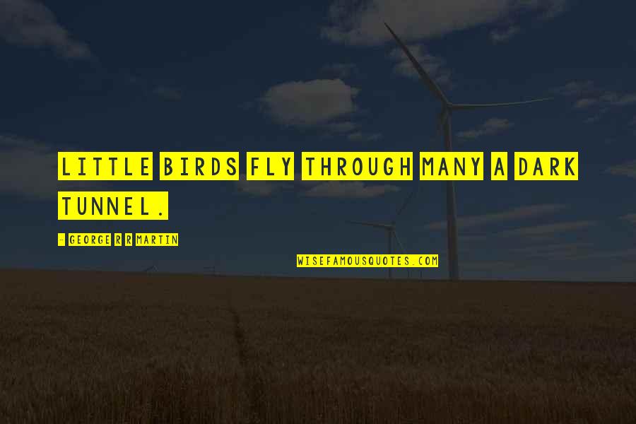 Idoneidad Panama Quotes By George R R Martin: Little birds fly through many a dark tunnel.