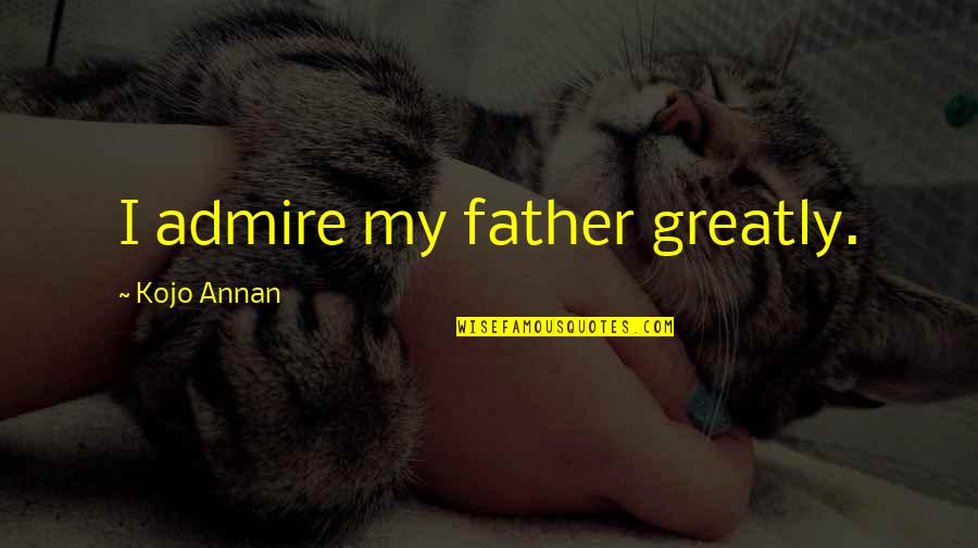 Idr Ifs Interactive Quotes By Kojo Annan: I admire my father greatly.