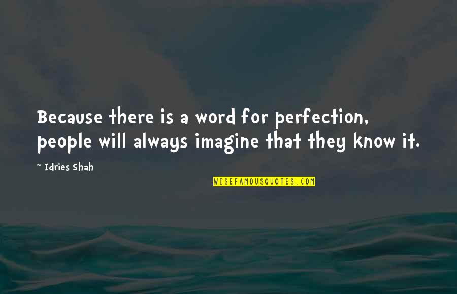 Idries Quotes By Idries Shah: Because there is a word for perfection, people