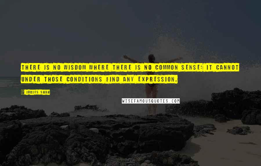 Idries Shah quotes: There is no wisdom where there is no common sense: it cannot under those conditions find any expression. Idries Shah quotes: There is no wisdom where there is no common sense: it cannot under those conditions find any expression.