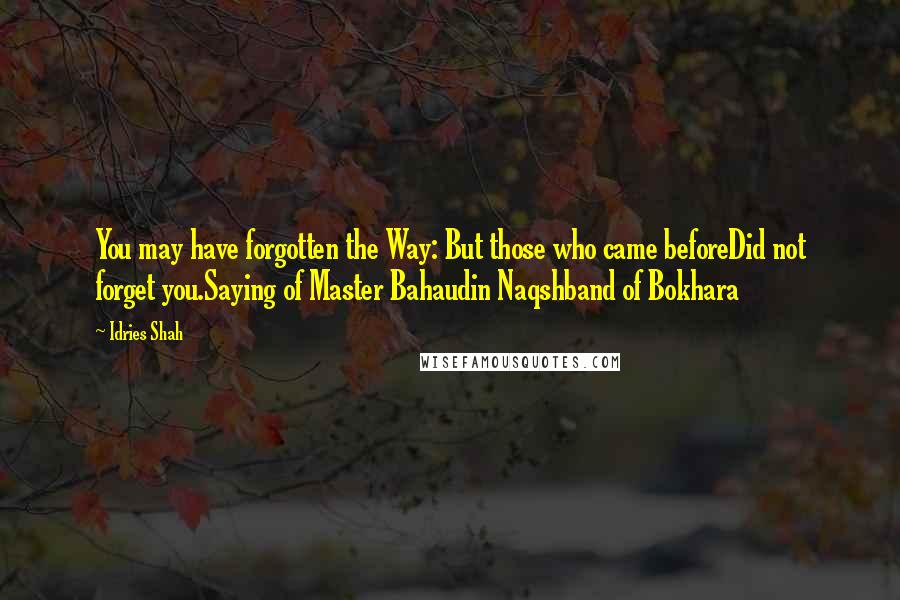 Idries Shah quotes: You may have forgotten the Way: But those who came beforeDid not forget you.Saying of Master Bahaudin Naqshband of Bokhara