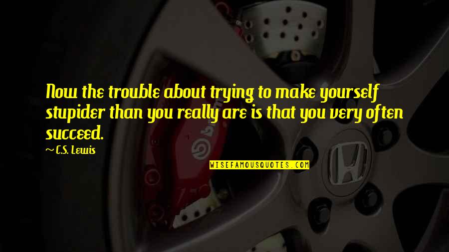 Idzerda Netherlands Quotes By C.S. Lewis: Now the trouble about trying to make yourself