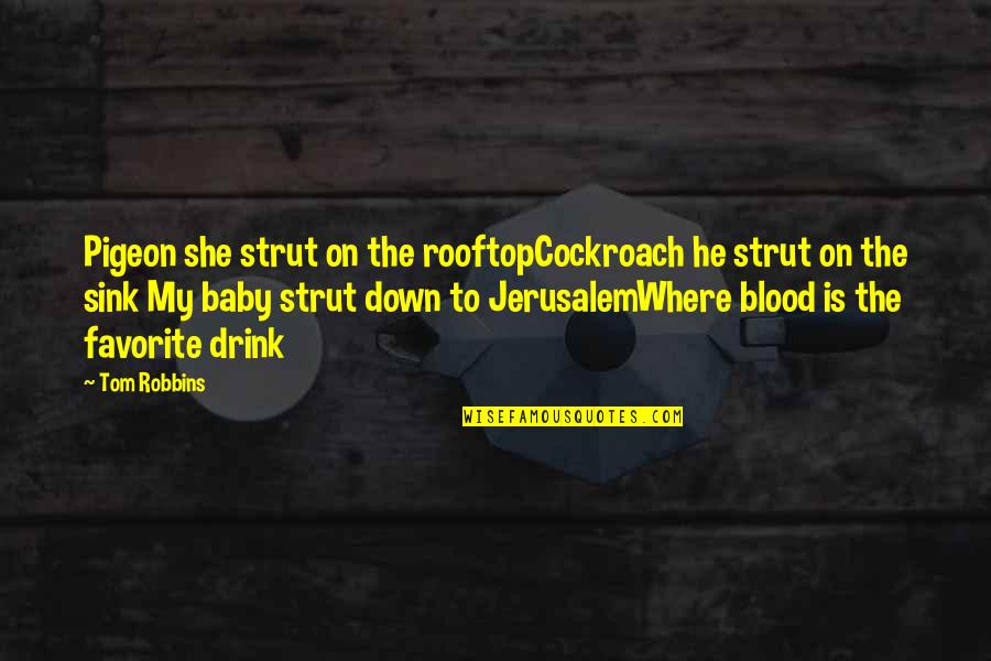 Iea Equestrian Quotes By Tom Robbins: Pigeon she strut on the rooftopCockroach he strut Iea Equestrian Quotes By Tom Robbins: Pigeon she strut on the rooftopCockroach he strut