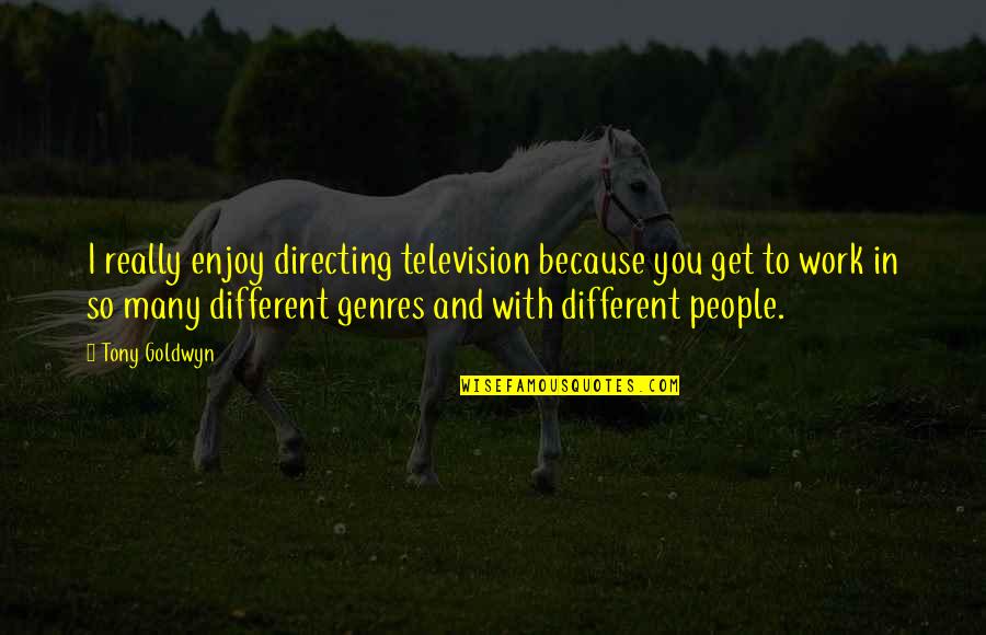 Ieriku Stadaudzetava Quotes By Tony Goldwyn: I really enjoy directing television because you get Ieriku Stadaudzetava Quotes By Tony Goldwyn: I really enjoy directing television because you get