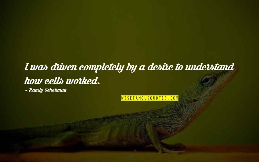 If A Door Doesnt Open Quote Quotes By Randy Schekman: I was driven completely by a desire to