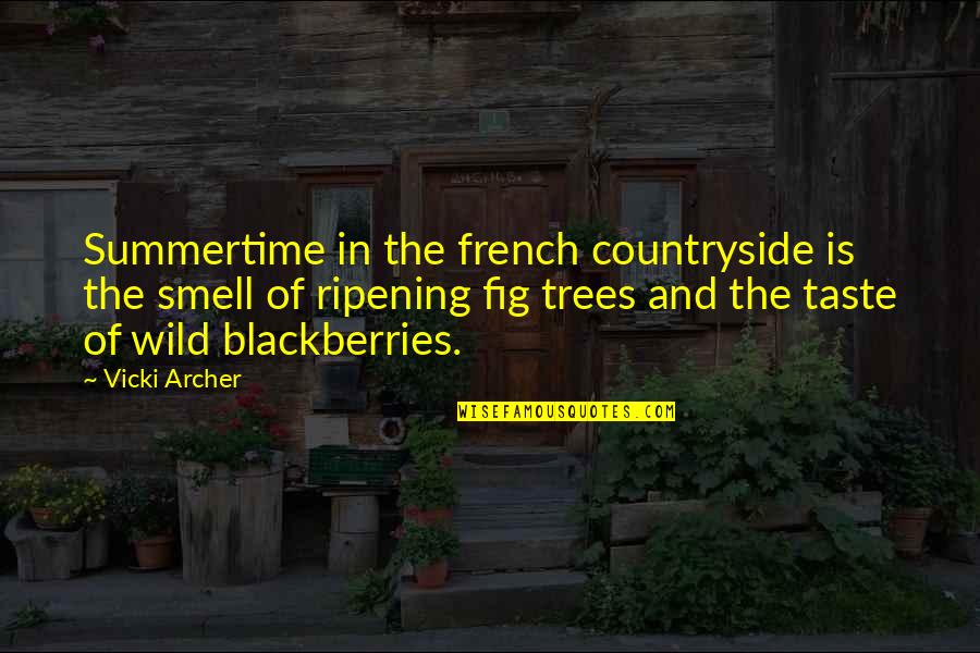 If A Door Doesnt Open Quote Quotes By Vicki Archer: Summertime in the french countryside is the smell