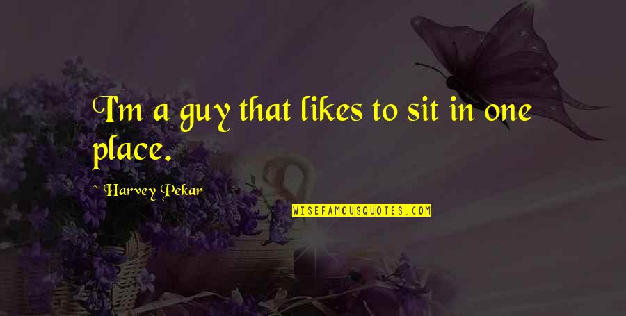 If A Guy Likes You Quotes By Harvey Pekar: I'm a guy that likes to sit in