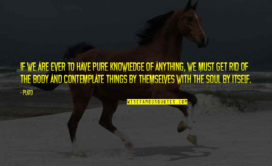 If Anything Quotes By Plato: If we are ever to have pure knowledge