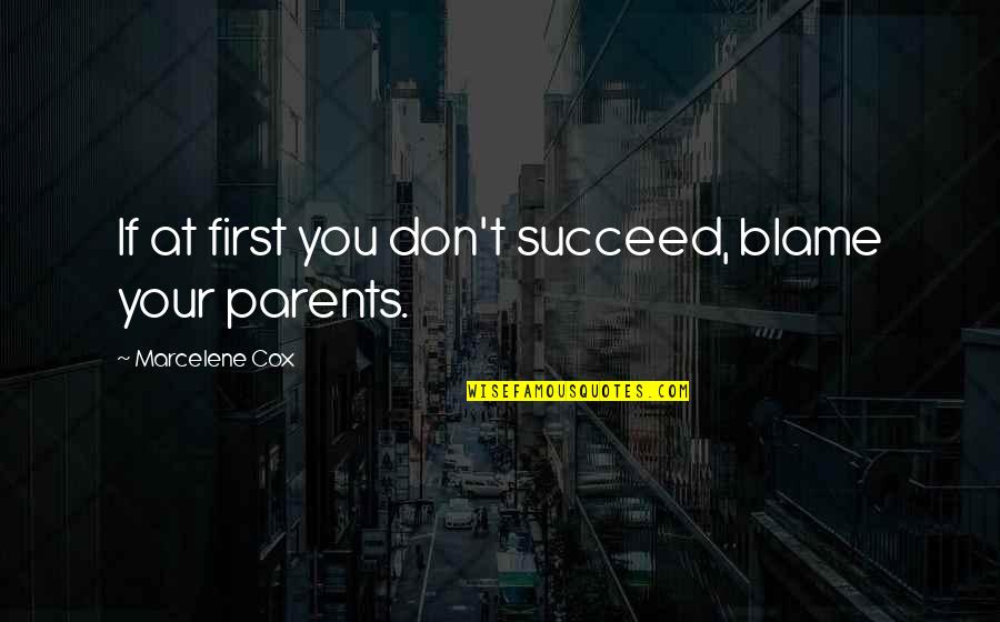 If At First You Don T Succeed Quotes By Marcelene Cox: If at first you don't succeed, blame your
