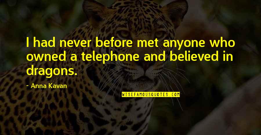 If Had Never Met You Quotes By Anna Kavan: I had never before met anyone who owned