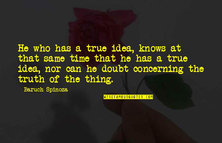 If He Has No Time For You Quotes By Baruch Spinoza: He who has a true idea, knows at