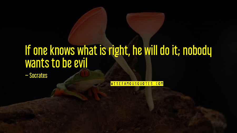 If He Wants To He Will Quotes By Socrates: If one knows what is right, he will