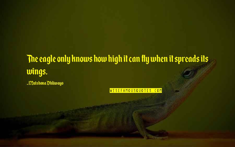 If I Can Fly Quotes By Matshona Dhliwayo: The eagle only knows how high it can