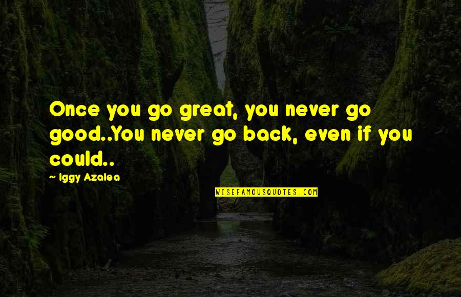 If I Could Go Back Quotes By Iggy Azalea: Once you go great, you never go good..You