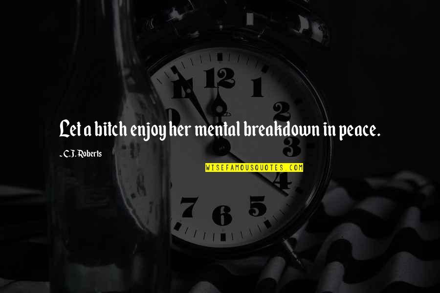 If I Could Hug You Quotes By C.J. Roberts: Let a bitch enjoy her mental breakdown in