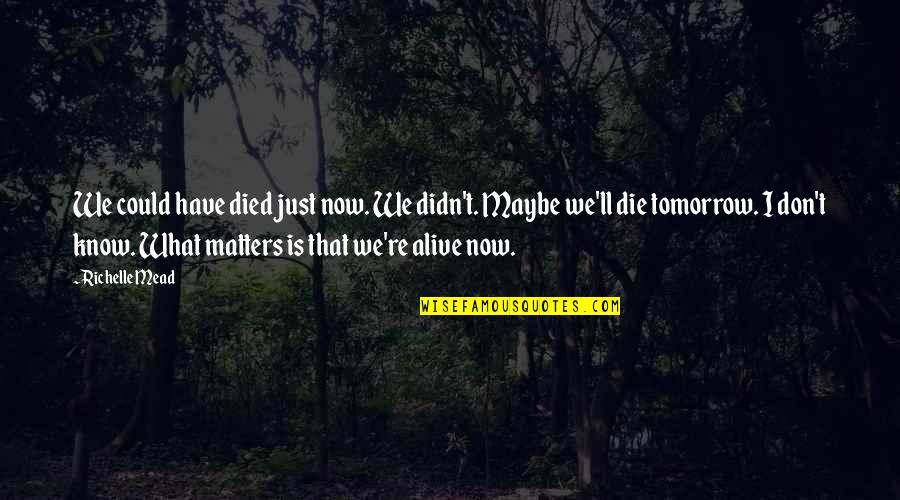 If I Die Tomorrow Quotes By Richelle Mead: We could have died just now. We didn't.