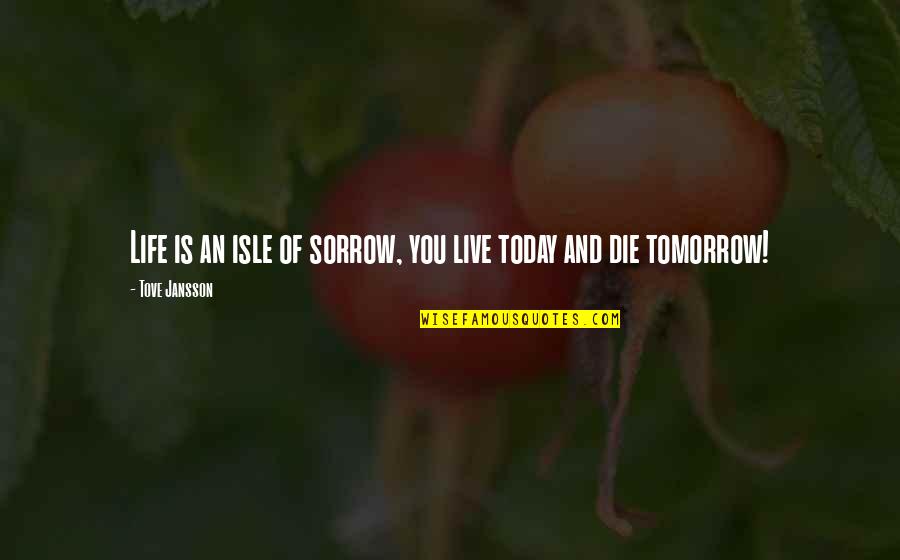 If I Die Tomorrow Quotes By Tove Jansson: Life is an isle of sorrow, you live
