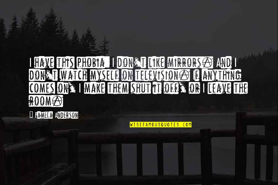 If I Don't Have Anything Quotes By Pamela Anderson: I have this phobia: I don't like mirrors.