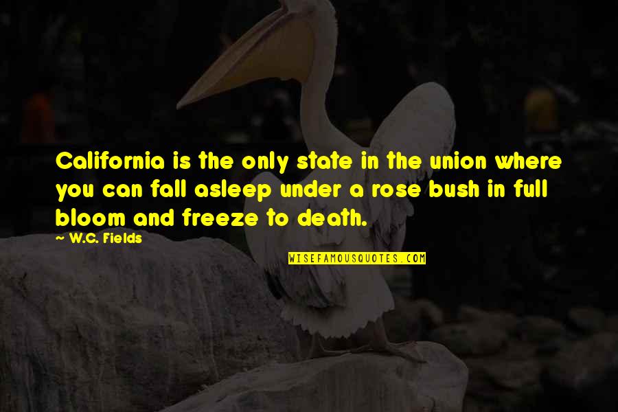 If I Fall Asleep Quotes By W.C. Fields: California is the only state in the union