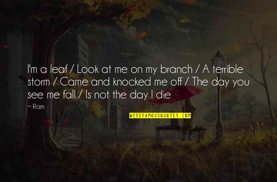 If I Fall If I Die Quotes By Ram: I'm a leaf / Look at me on