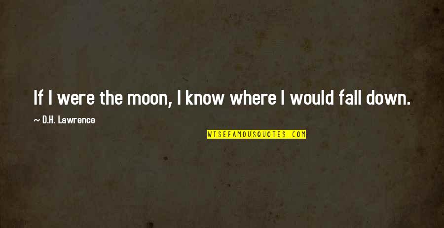 If I Fall Quotes By D.H. Lawrence: If I were the moon, I know where