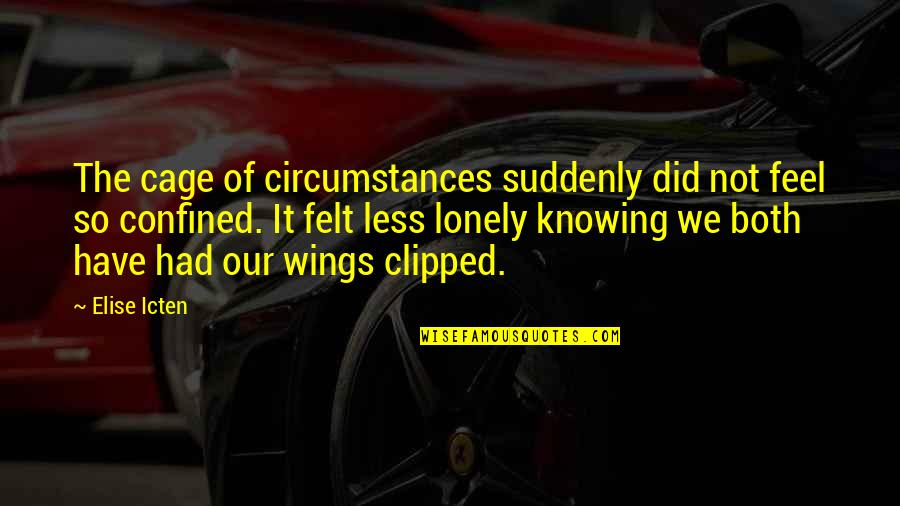 If I Had Wings Quotes By Elise Icten: The cage of circumstances suddenly did not feel