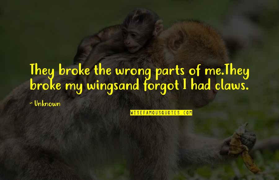 If I Had Wings Quotes By Unknown: They broke the wrong parts of me.They broke