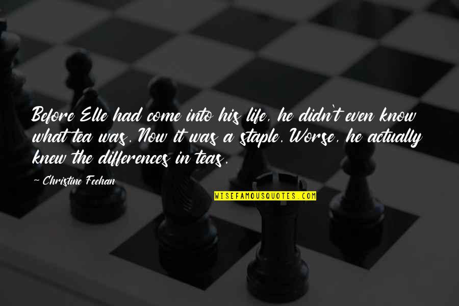 If I Knew Now What I Didn Know Then Quotes By Christine Feehan: Before Elle had come into his life, he