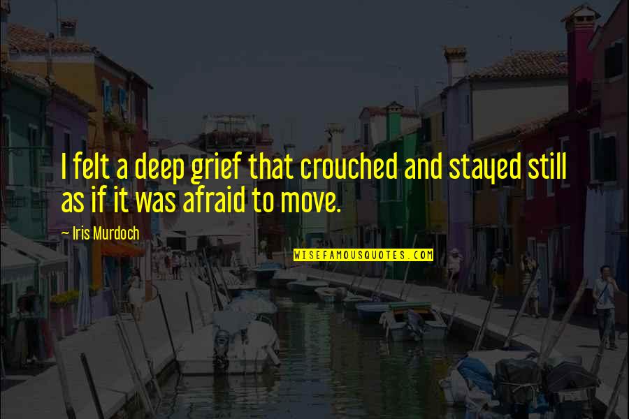 If I Stayed Quotes By Iris Murdoch: I felt a deep grief that crouched and