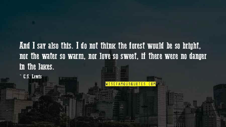 If I Were Love Quotes By C.S. Lewis: And I say also this. I do not