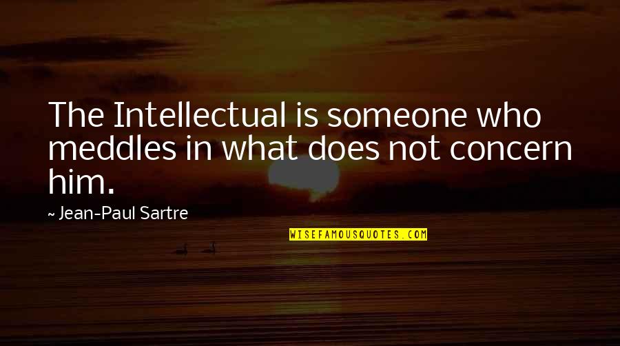 If It Does Not Concern You Quotes By Jean-Paul Sartre: The Intellectual is someone who meddles in what If It Does Not Concern You Quotes By Jean-Paul Sartre: The Intellectual is someone who meddles in what