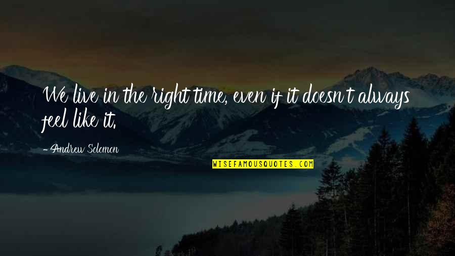If It Doesn't Feel Right Quotes By Andrew Solomon: We live in the right time, even if
