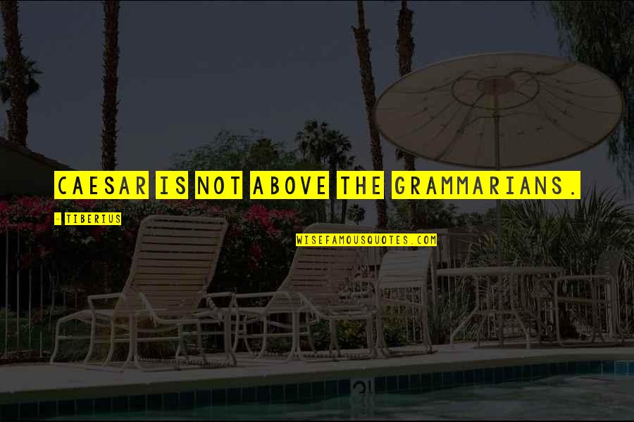 If It Doesnt Kill You Quotes By Tiberius: Caesar is not above the grammarians.