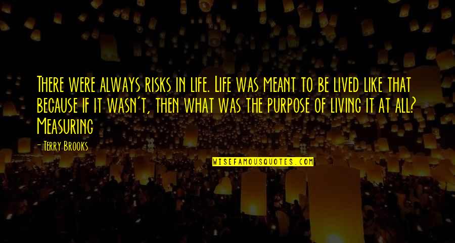 If It Was Meant To Be Quotes By Terry Brooks: There were always risks in life. Life was