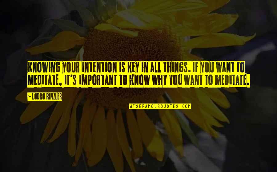 If It's Important Quotes By Lodro Rinzler: Knowing your intention is key in all things.