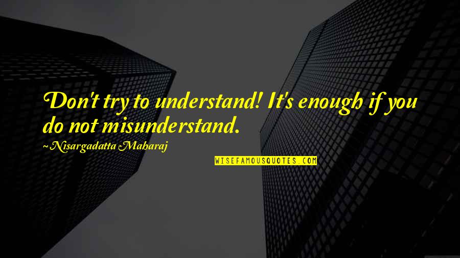 If It's Not You Quotes By Nisargadatta Maharaj: Don't try to understand! It's enough if you