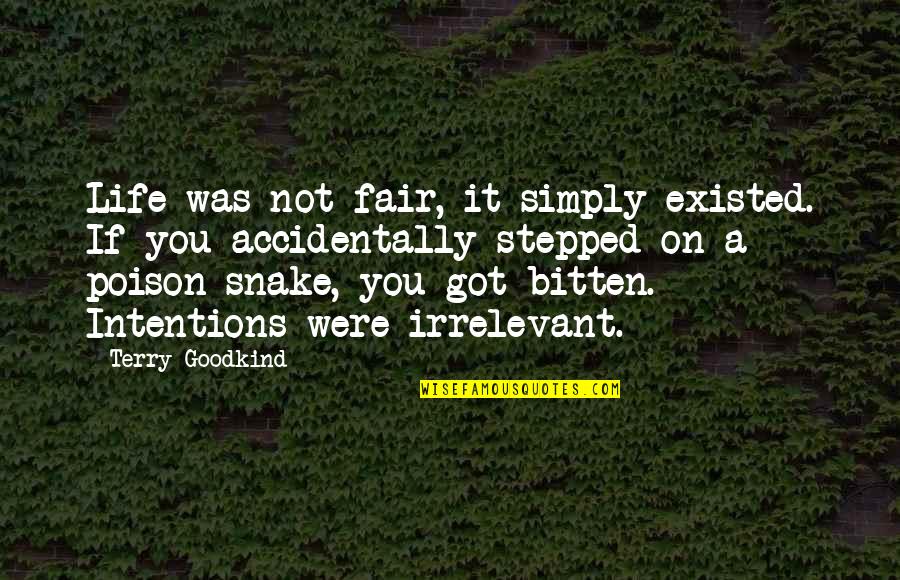 If Life Were Fair Quotes By Terry Goodkind: Life was not fair, it simply existed. If If Life Were Fair Quotes By Terry Goodkind: Life was not fair, it simply existed. If