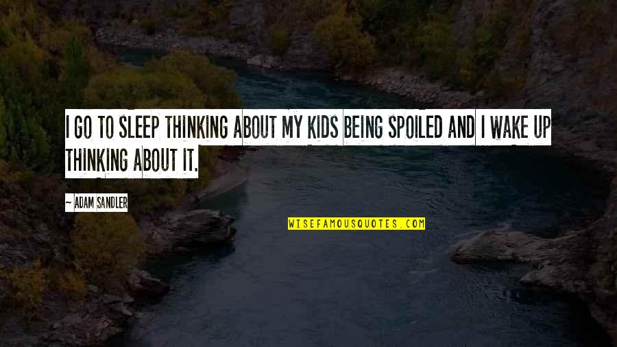 If Money Mattered Quotes By Adam Sandler: I go to sleep thinking about my kids