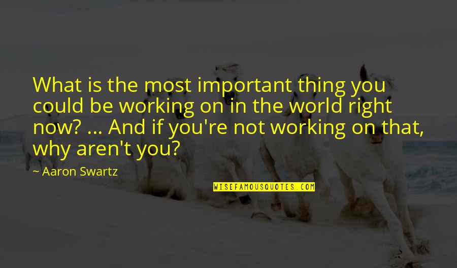 If Not Now Quotes By Aaron Swartz: What is the most important thing you could